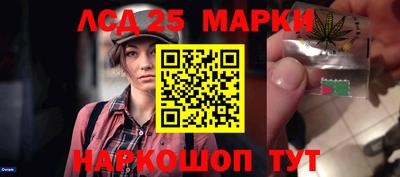 шишки Мирный