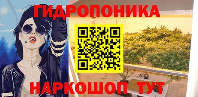 шишки Мирный