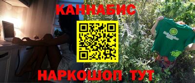 шишки Мирный