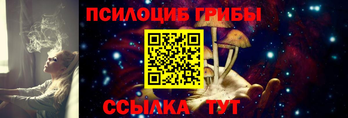 Псилоцибиновые грибы Cubensis Ангарск